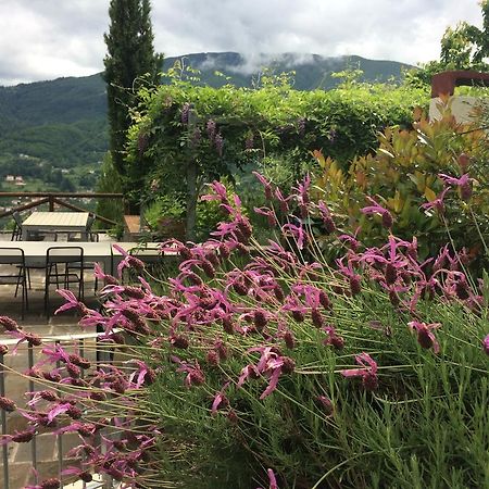 Agriturismo Braccicorti Hotel Pieve Fosciana ภายนอก รูปภาพ