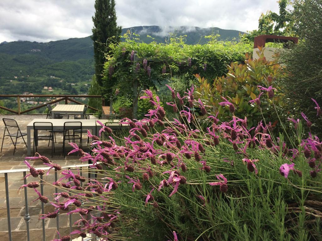 Agriturismo Braccicorti Hotel Pieve Fosciana ภายนอก รูปภาพ