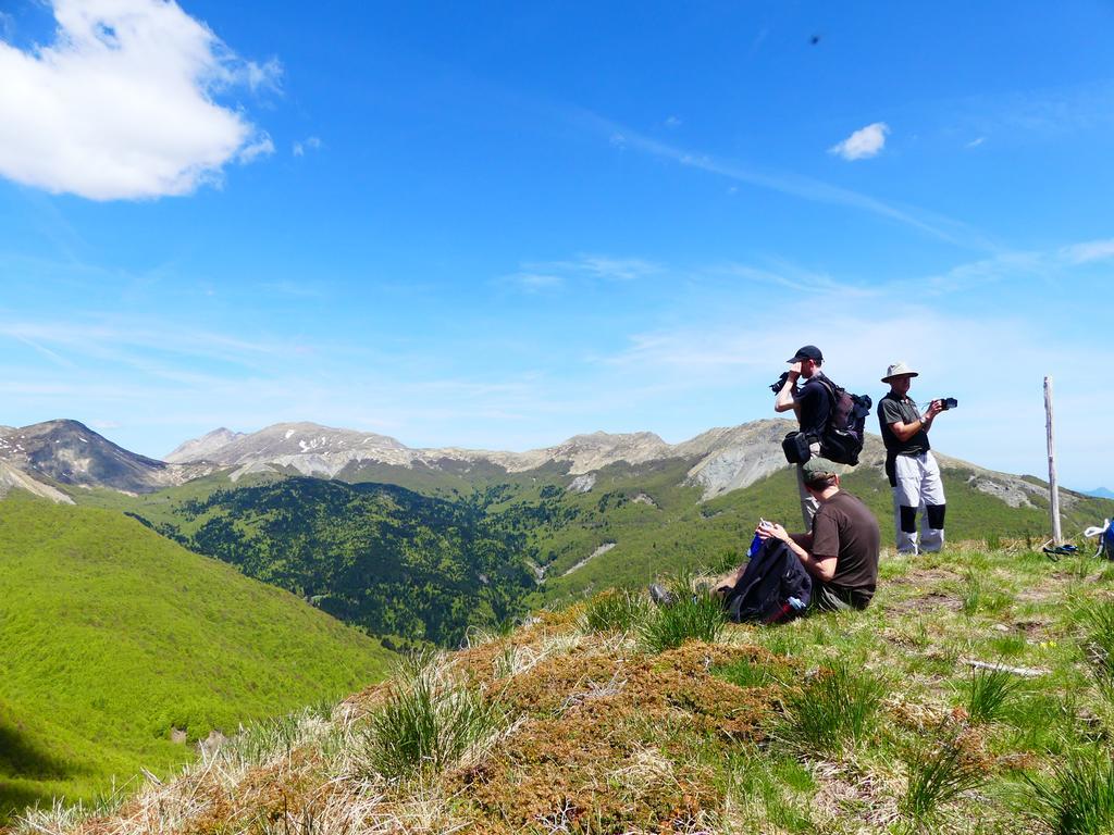 Agriturismo Braccicorti Hotel Pieve Fosciana ภายนอก รูปภาพ