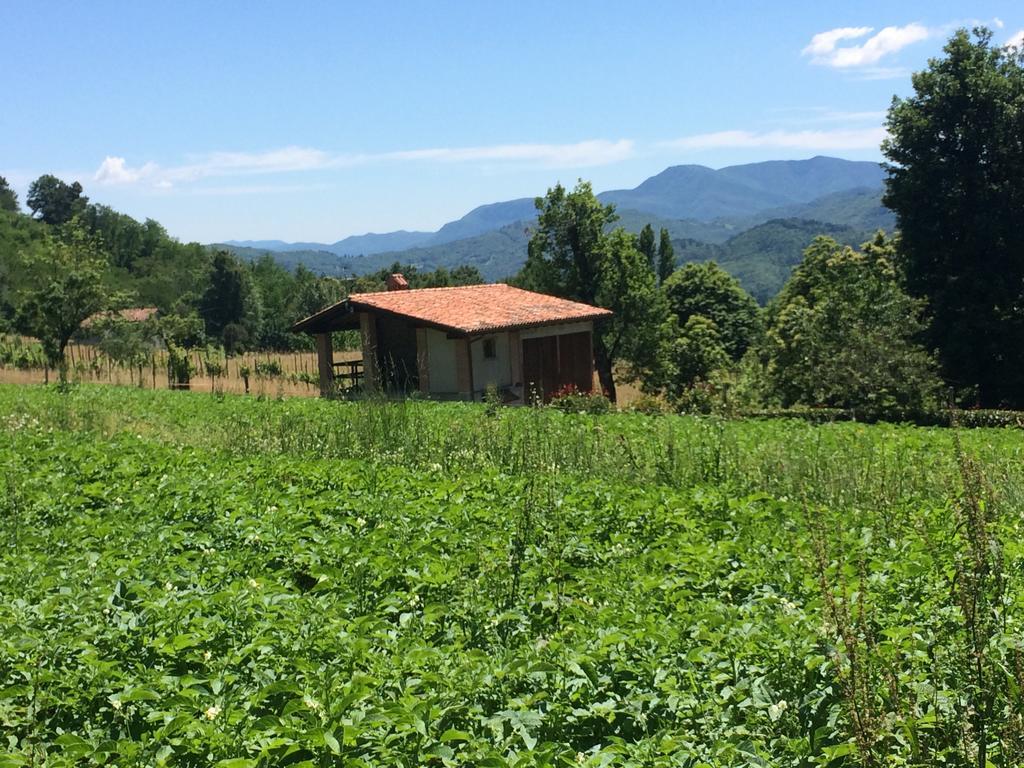 Agriturismo Braccicorti Hotel Pieve Fosciana ภายนอก รูปภาพ
