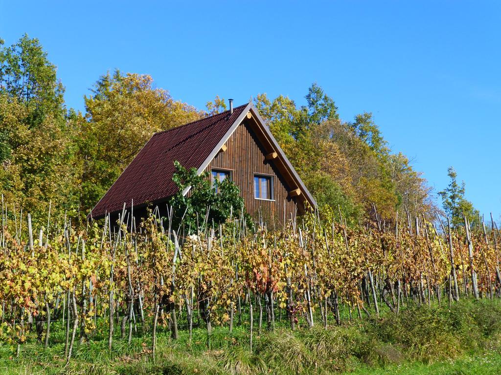 Agriturismo Braccicorti Hotel Pieve Fosciana ภายนอก รูปภาพ