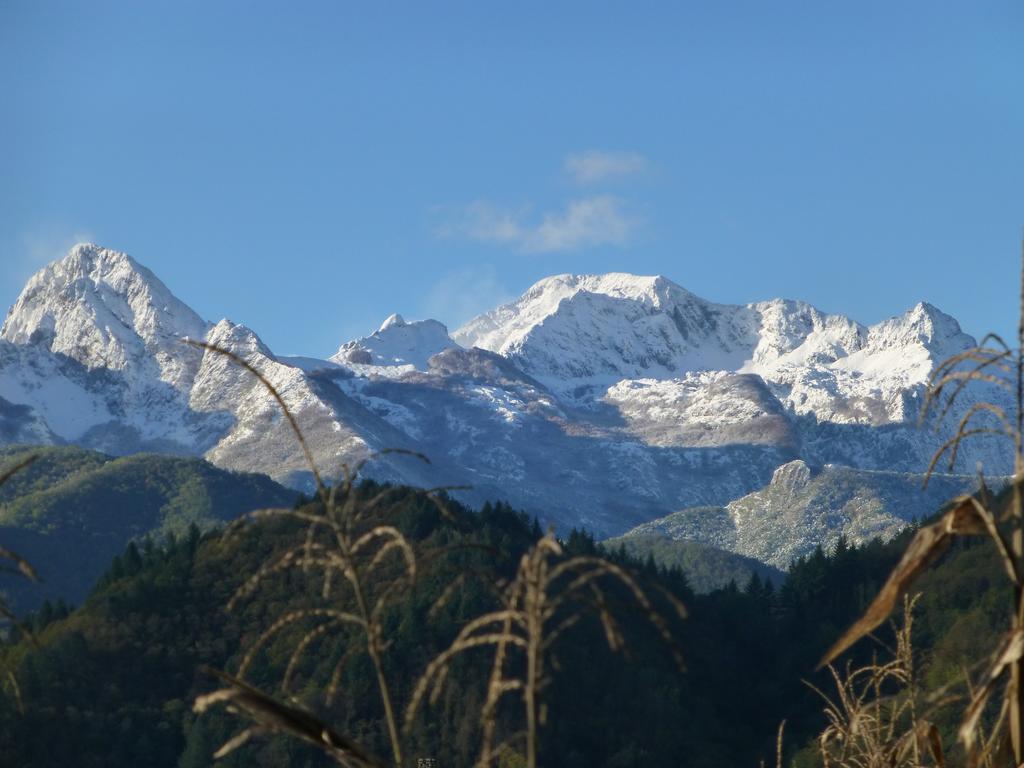 Agriturismo Braccicorti Hotel Pieve Fosciana ภายนอก รูปภาพ