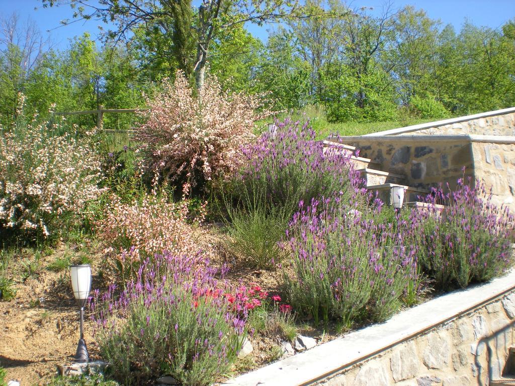 Agriturismo Braccicorti Hotel Pieve Fosciana ภายนอก รูปภาพ